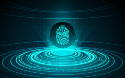 Nuestro recorrido digital y la eliminación de la huella digital