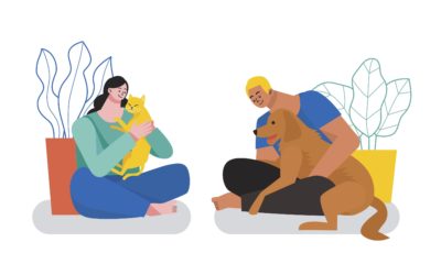 Instrucciones detalladas de cuidado: preocupación por tu mascota desde el más allá.